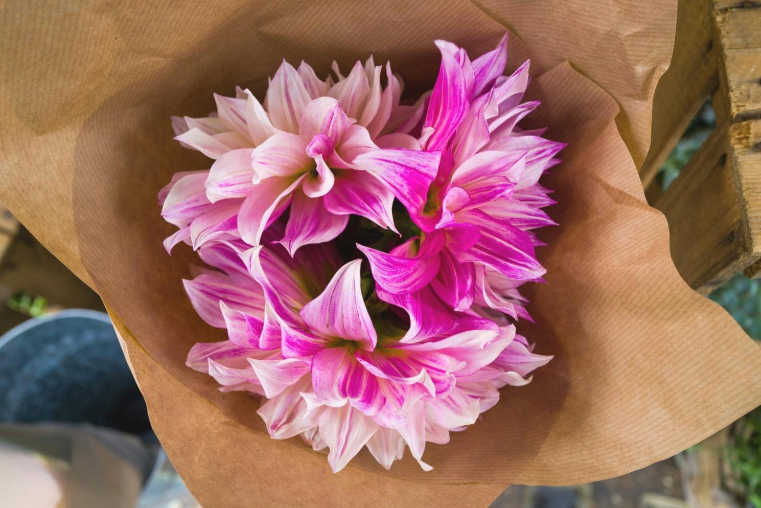 Sesión de mentoría personalizada para desarrollo profesional