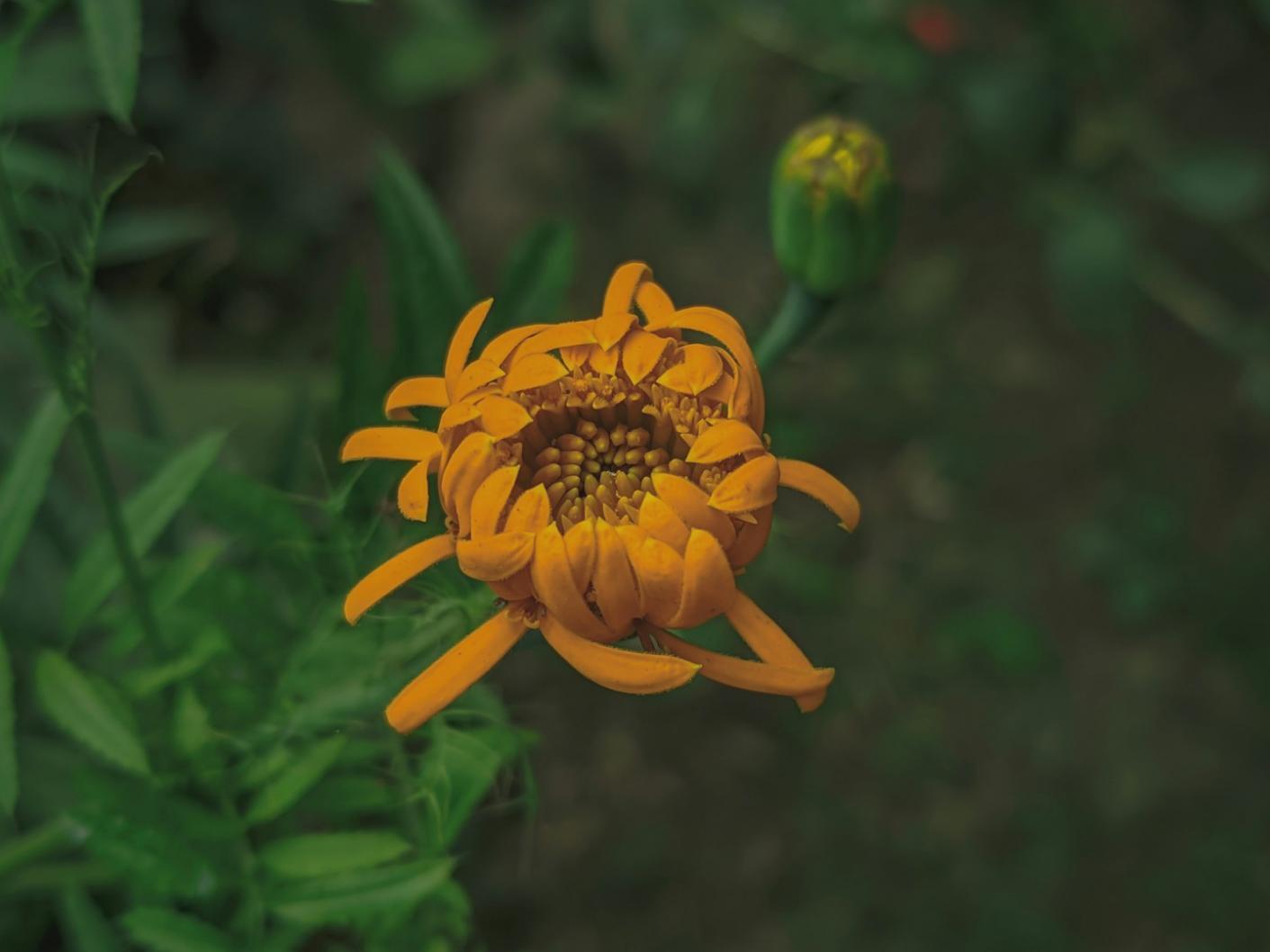 Resultados de trabajo en desarrollo profesional