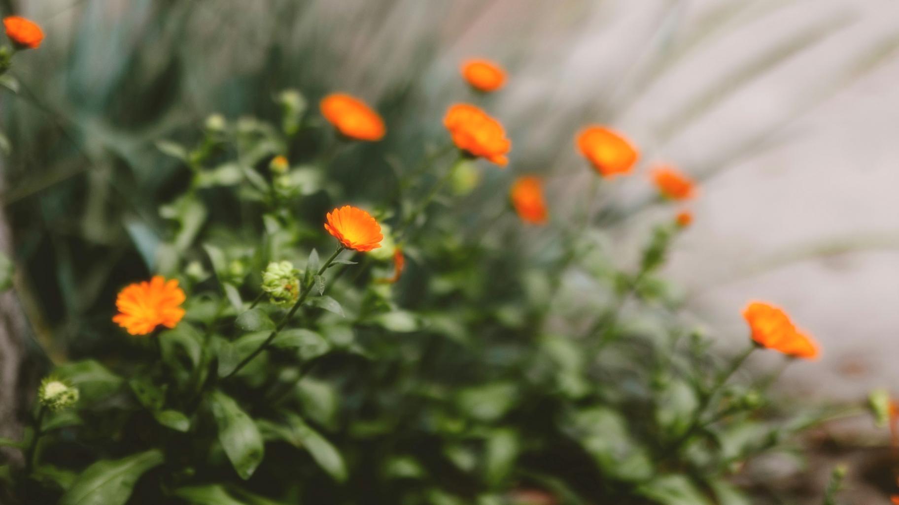 Ambiente de aprendizaje colaborativo en nuestras instalaciones
