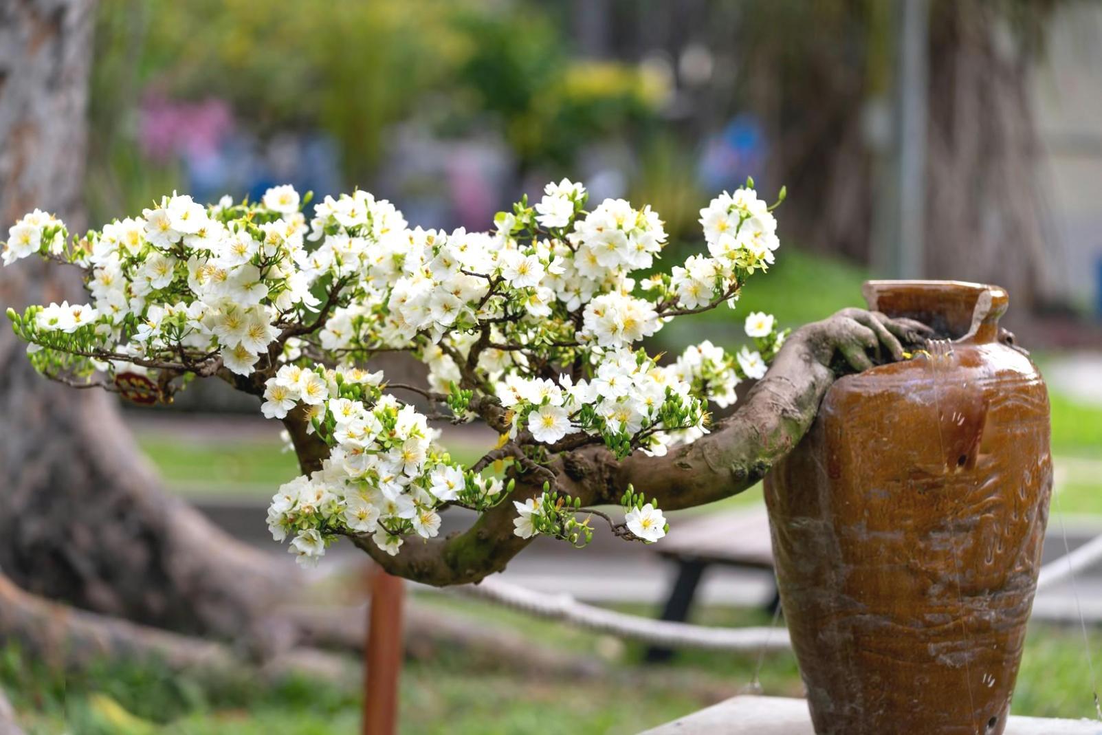 Estudiantes trabajando en desarrollo profesional