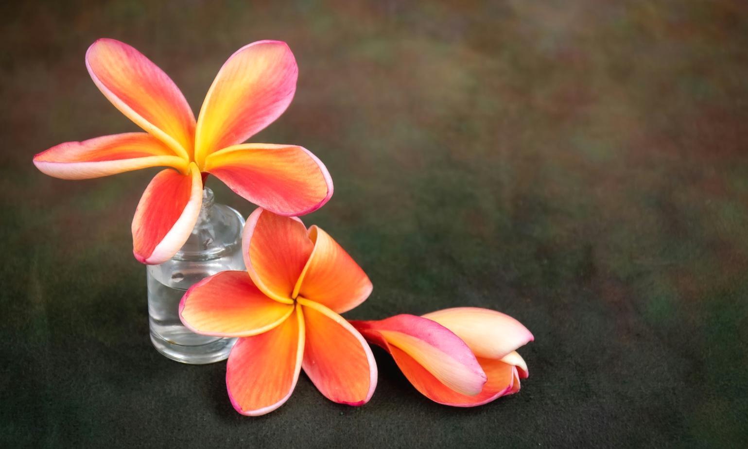 Herramientas y recursos para desarrollo profesional efectivo